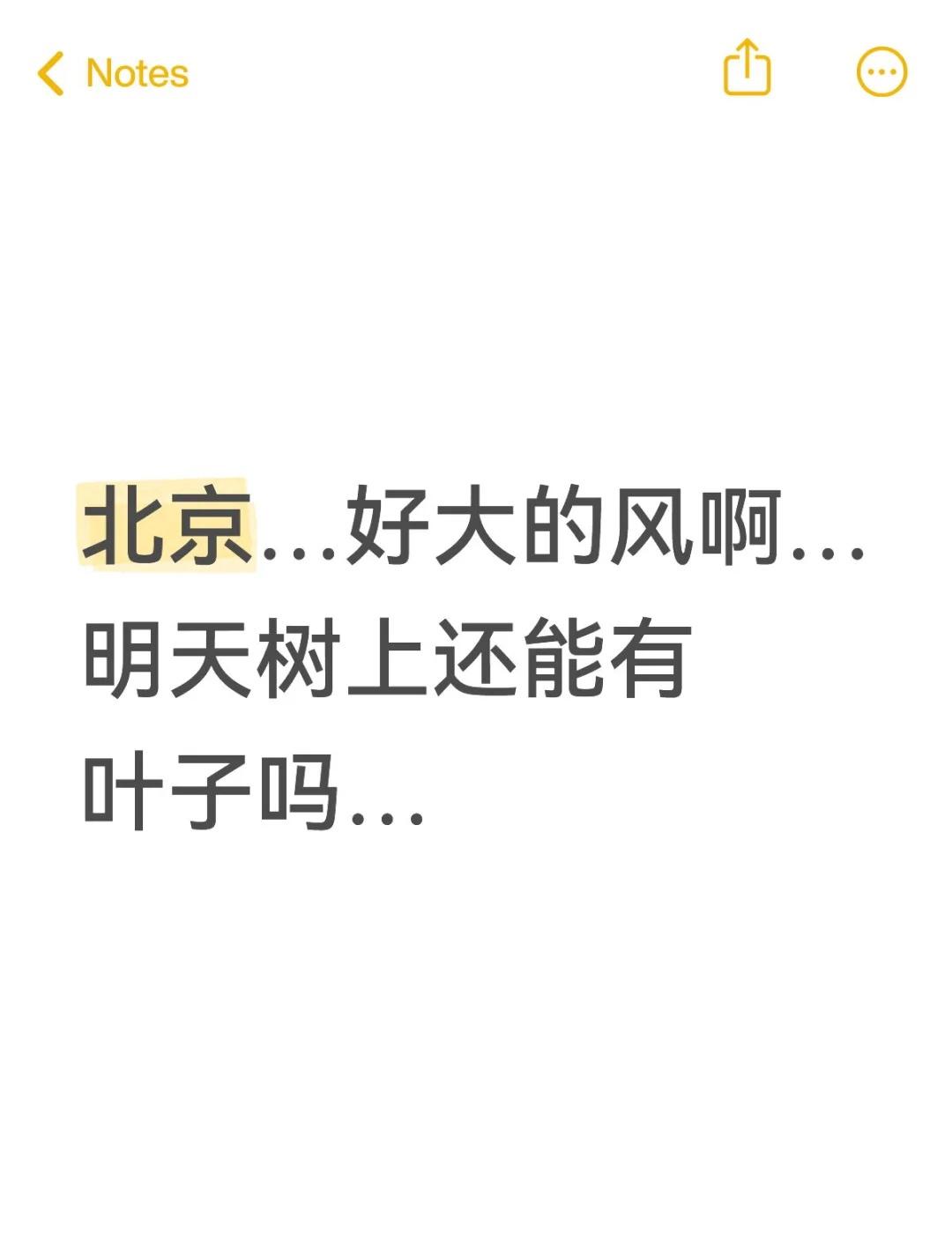 北京…好大的风啊…
明天树上还能有叶子吗…
北京天气北京 北京旅游