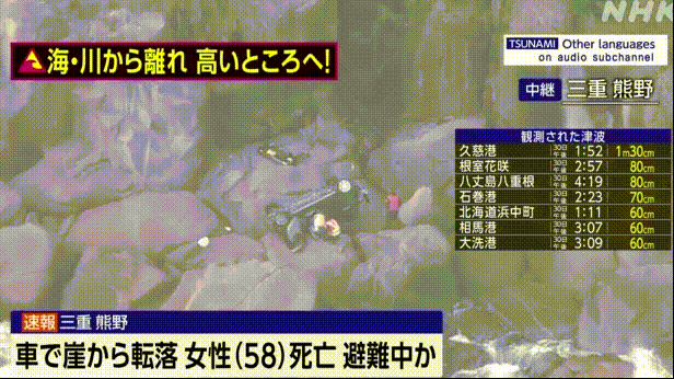 日本一名女司机因海啸来袭，吓落悬崖而亡。

在日本三重县三野市，海啸来临，当地执