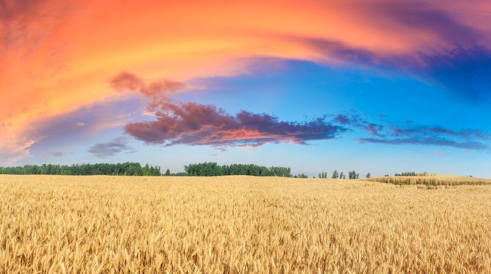 写下这句话，接住一整年的好运！

✨ 核心金句
既然刷到这里，请郑重写下：我很好