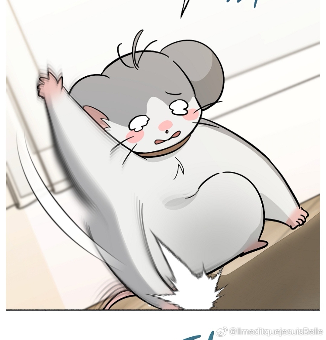 鼠鼠独自在家好委屈不能跟着一起出门变成🐭躲进包里还被揪出来