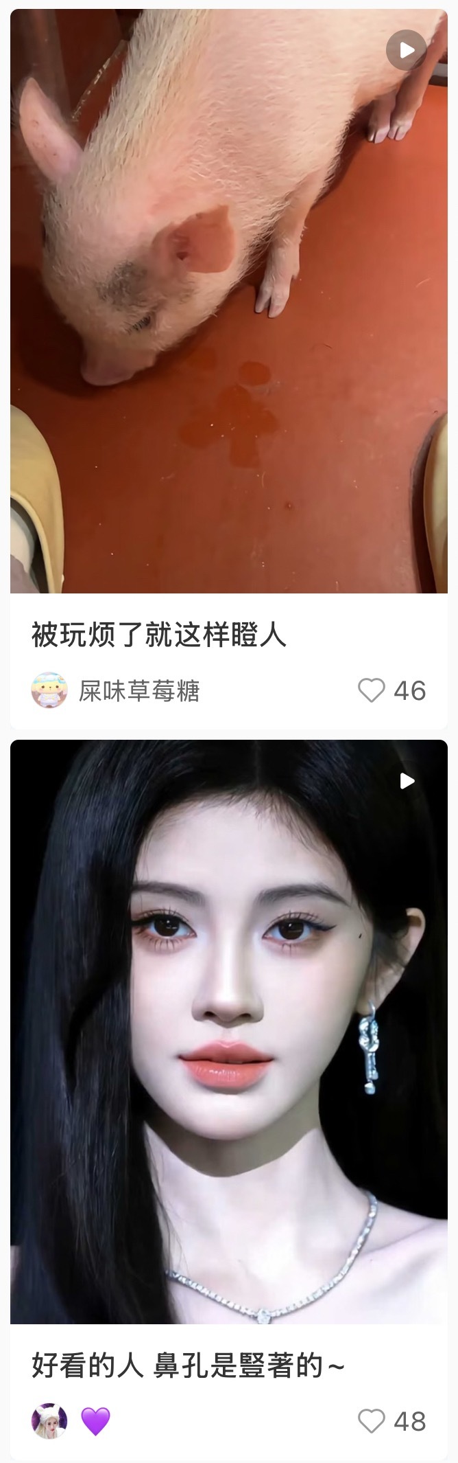 惊喜排版 文案可以互换系列👀🐽 