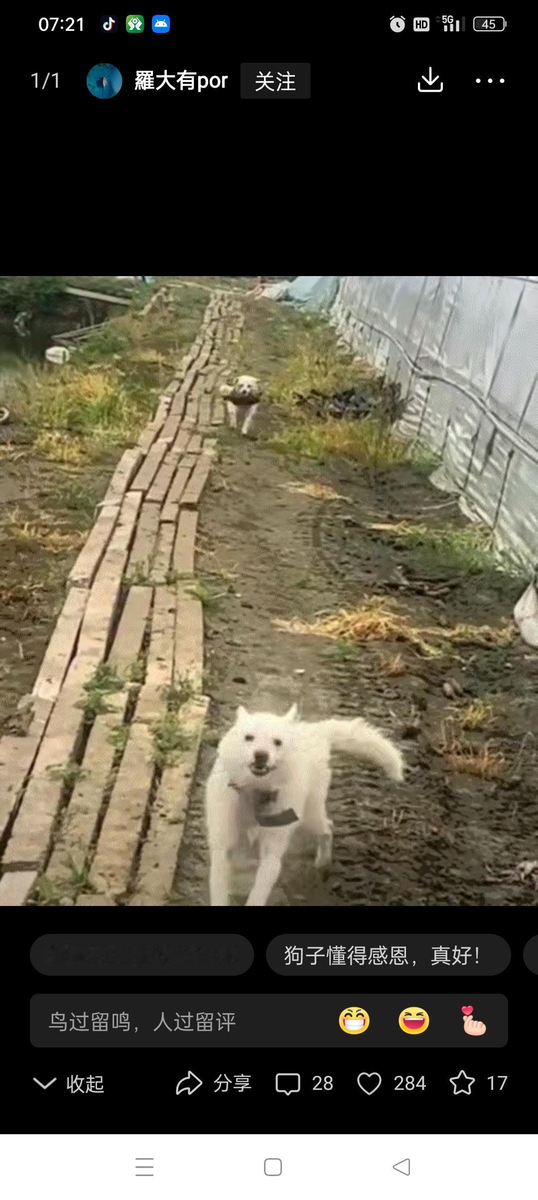 笑不活了！江苏，一男子连续投喂了三年的流浪狗，因男子为其找了一家领养人，男子每隔