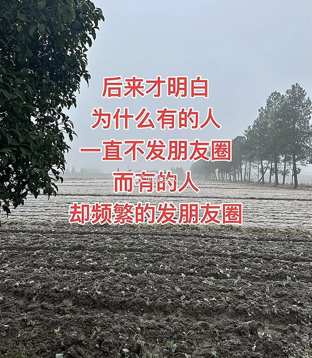 你明白了吗？为什么呢？ 