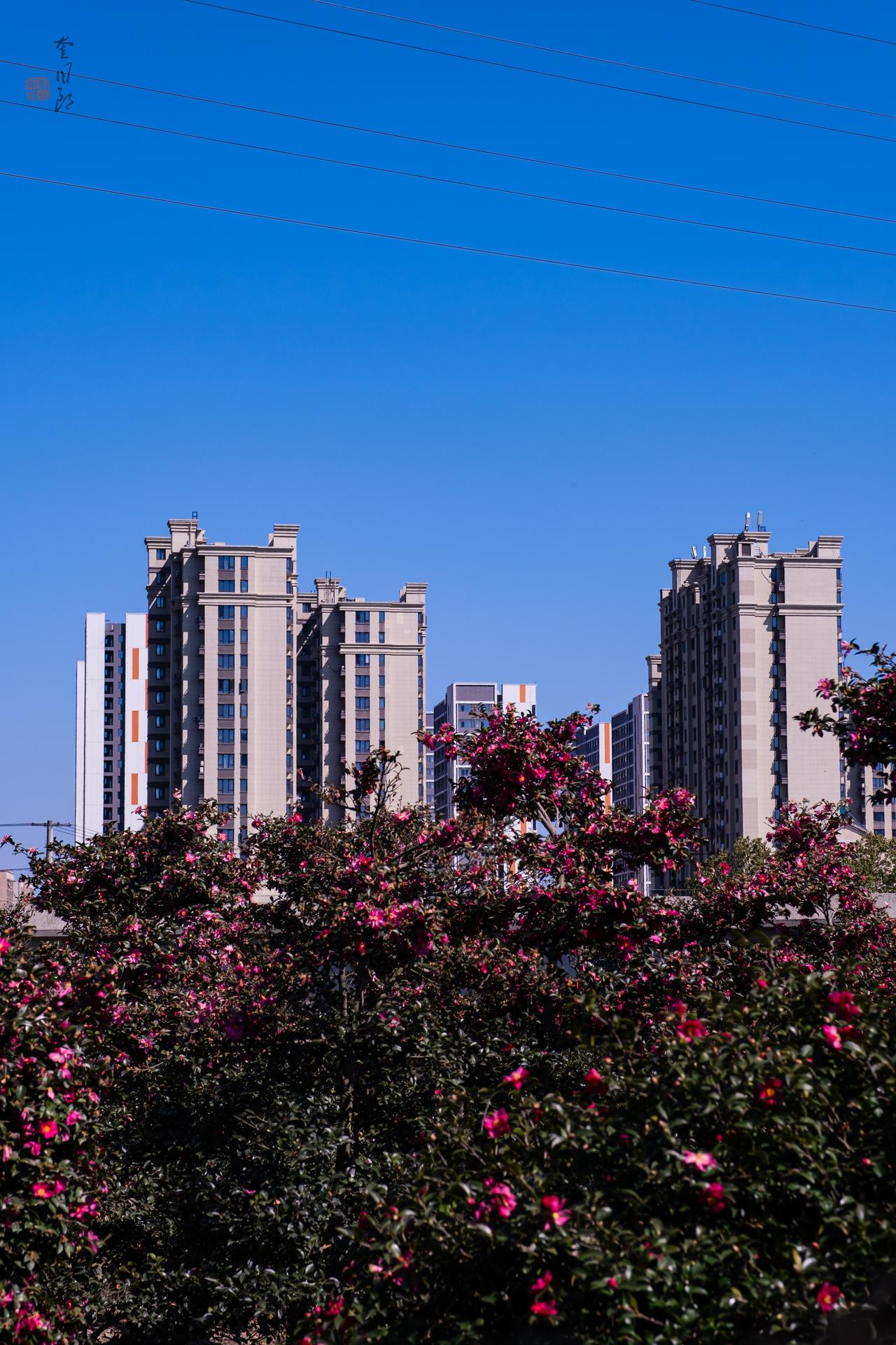 水一个春天！来自城乡结合部！