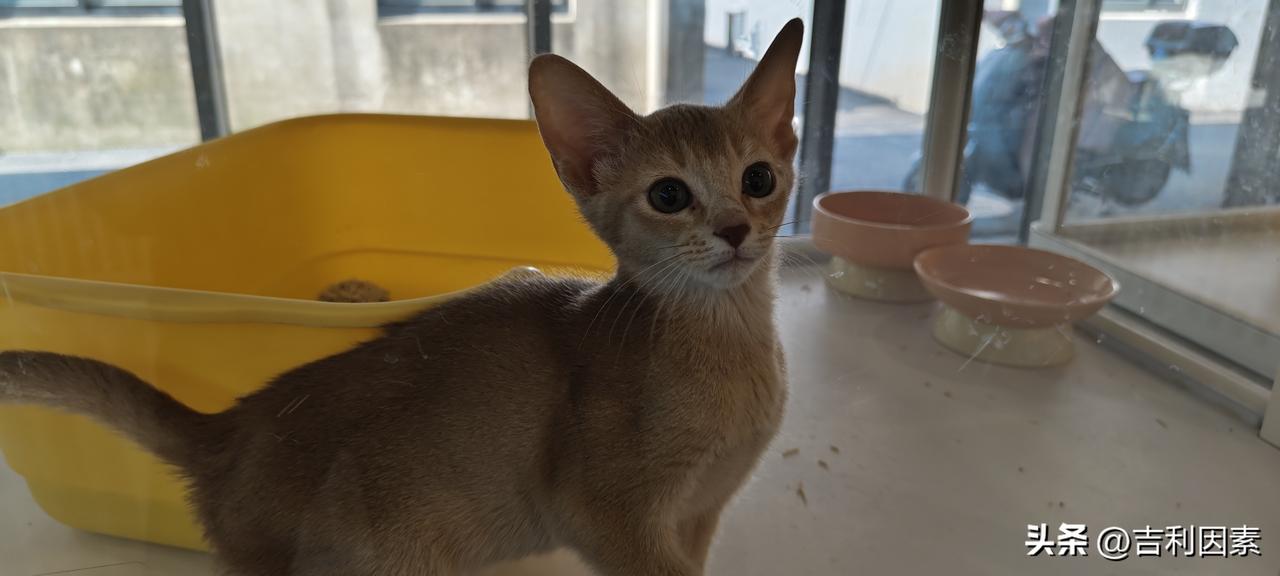 平日攒下的降压降糖药，成了古稀老人的最后一顿晚餐
一个消息，在春日的暖阳里，透着