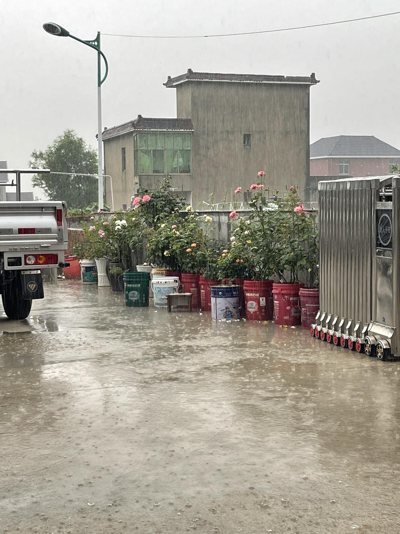 梅雨季节 雨季随拍