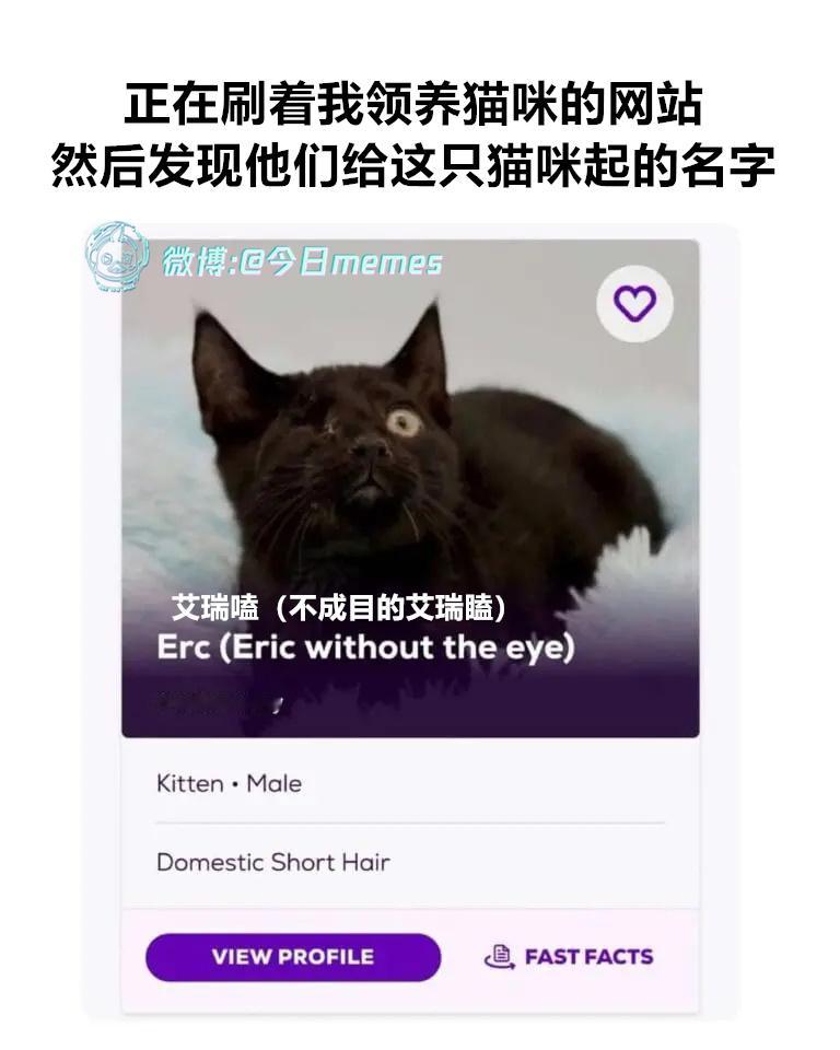 倒是准确（9gag）今日meme今日memes