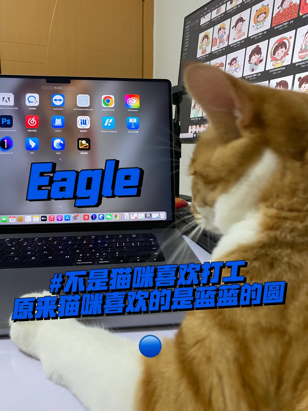 对不起Eagle4.0🔵刚写完的稿被我猫一脚删了