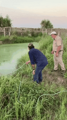 《史前巨鳄》这么拍，早就火了。

也不至于，让狂蟒和大白鲨，按在地上摩擦这么多年