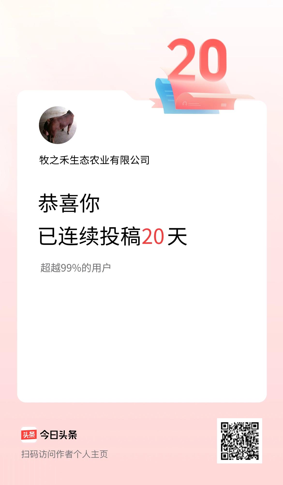 我在头条连续投稿20天