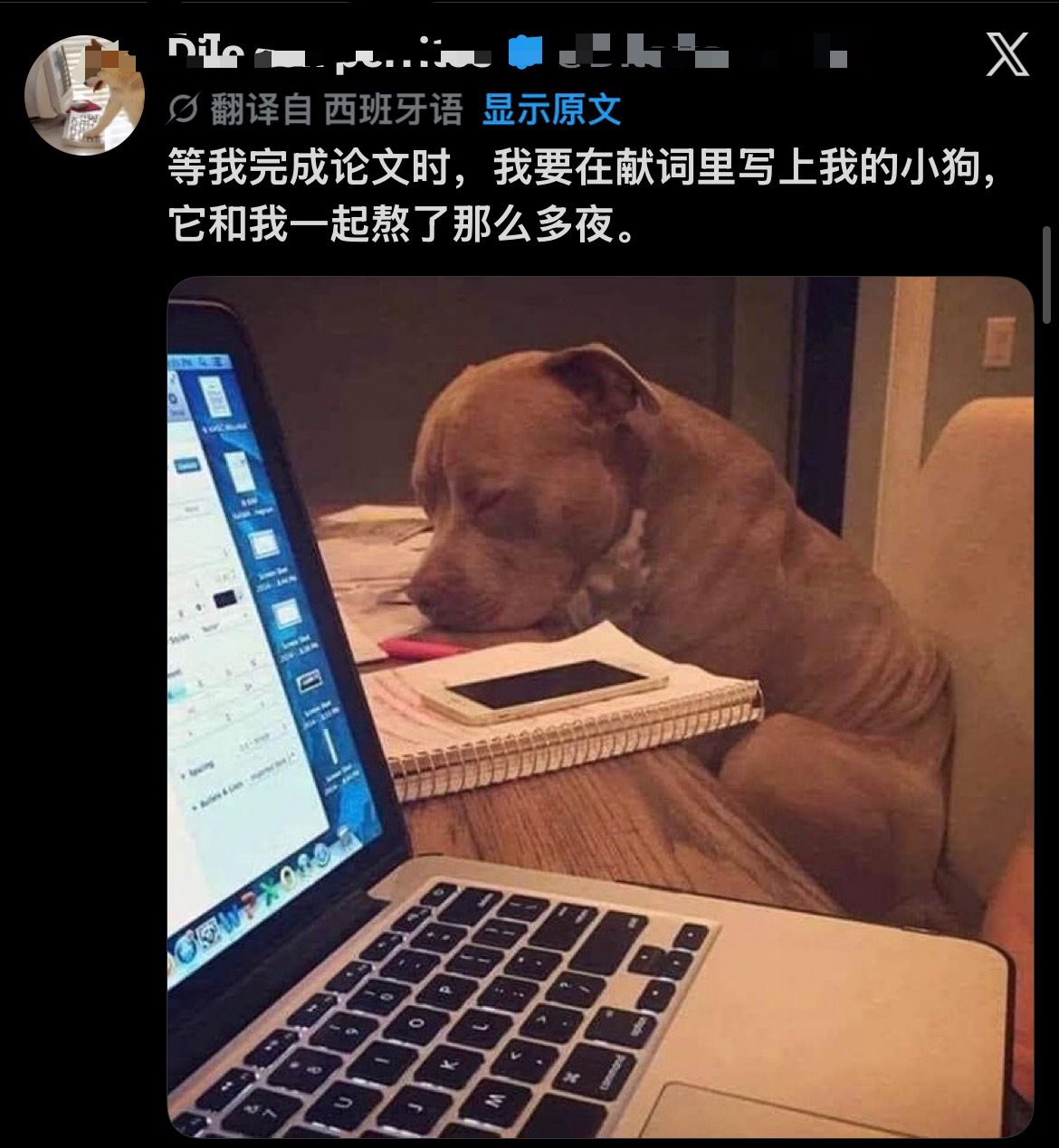 天呐
