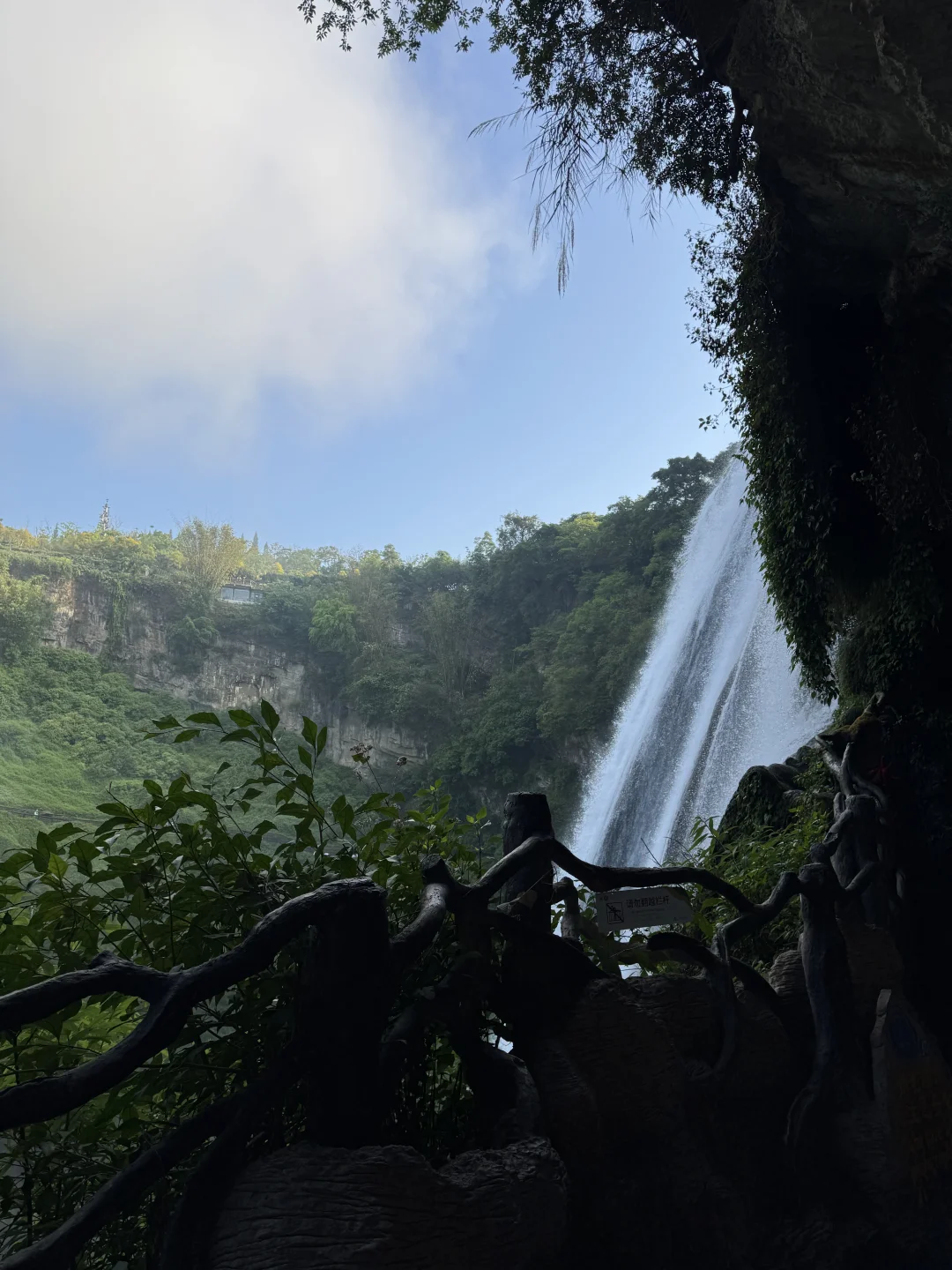 来自山涧的水声，是大自然的呼吸🍃