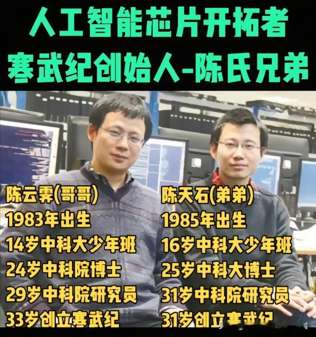 寒武纪，来自江西南昌陈氏兄弟缔造的传奇
      这几天，大火的中国股市中，最