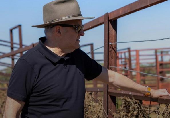 有人欢喜有人忧，澳大利亚估计也没想到，一颗小小的油菜籽，居然能撬动中加澳三国关系