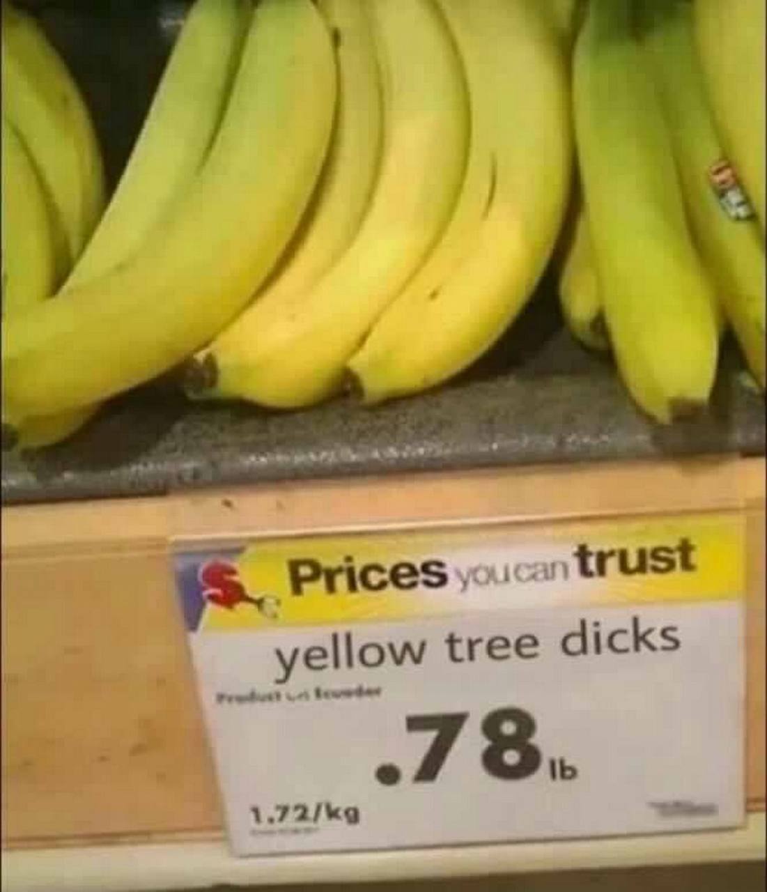 yellow tree dicks 