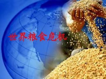 全球粮食危机下，粮食出口限制真的违背国际道义吗？
 
当下全球粮食安全形势越来越