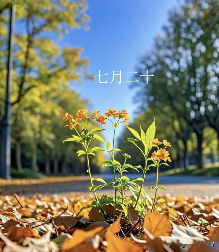 老话说“七月怕二十”，明天是七月二十，到底怕啥？看老祖宗咋说
 
民间常说“七月