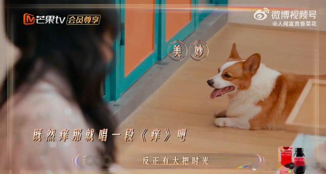 黄龄山药过敏版痒 声生不息 这临场反应谁看了不夸，黄龄把过敏变成专属演唱时刻 