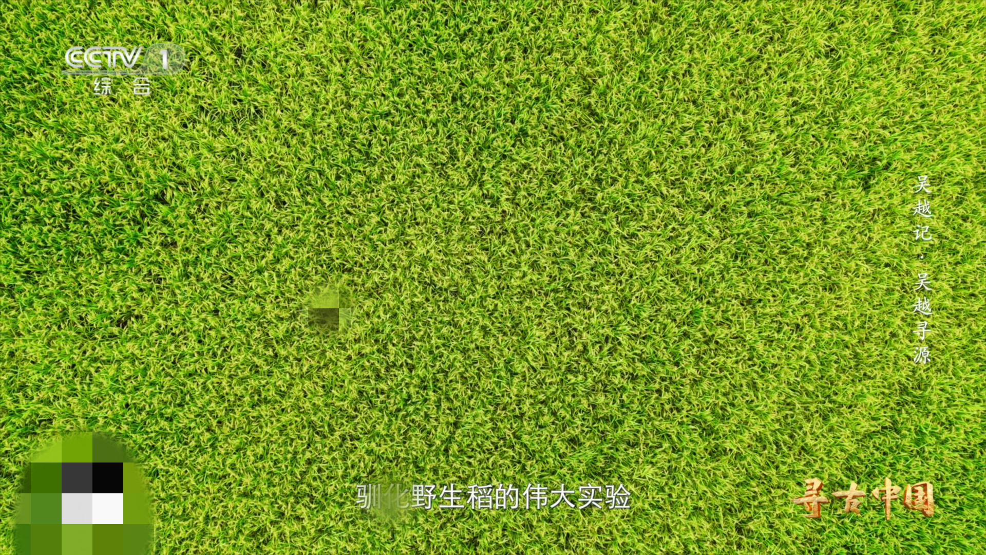 浙江发现世界上最早的稻作农业看到这么多的证据，向我们展现着先民们对稻作农业的精湛
