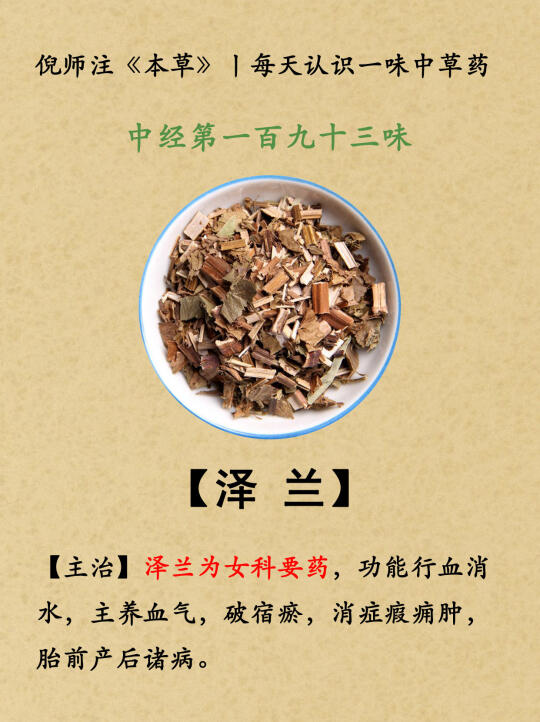 倪师注《本草》丨中经193-泽兰—194-防己