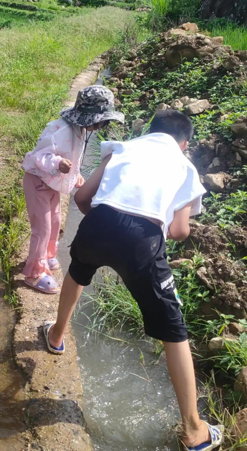 应该是去捉泥鳅吧！