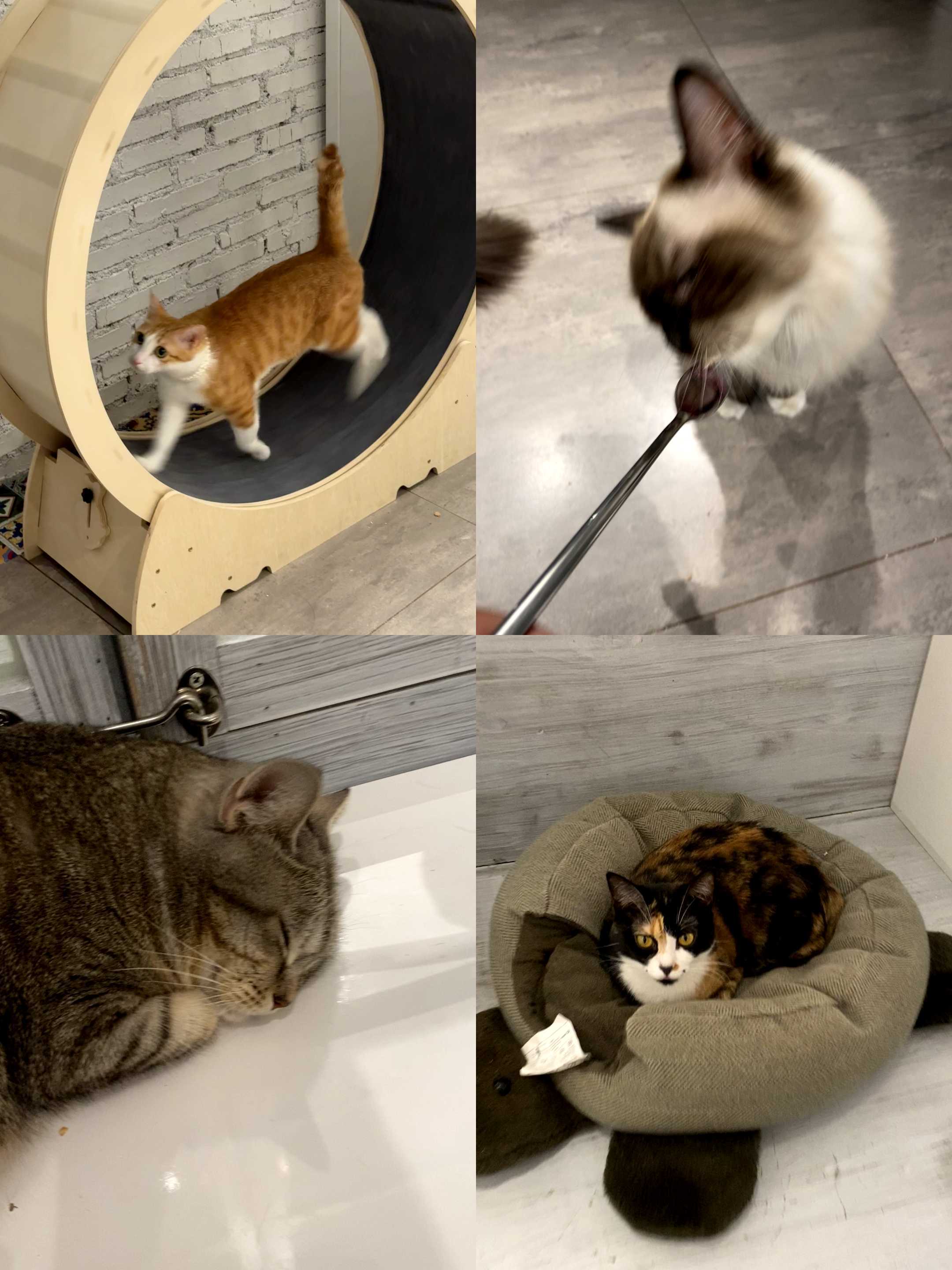 冷空气让懒人更懒 厦门