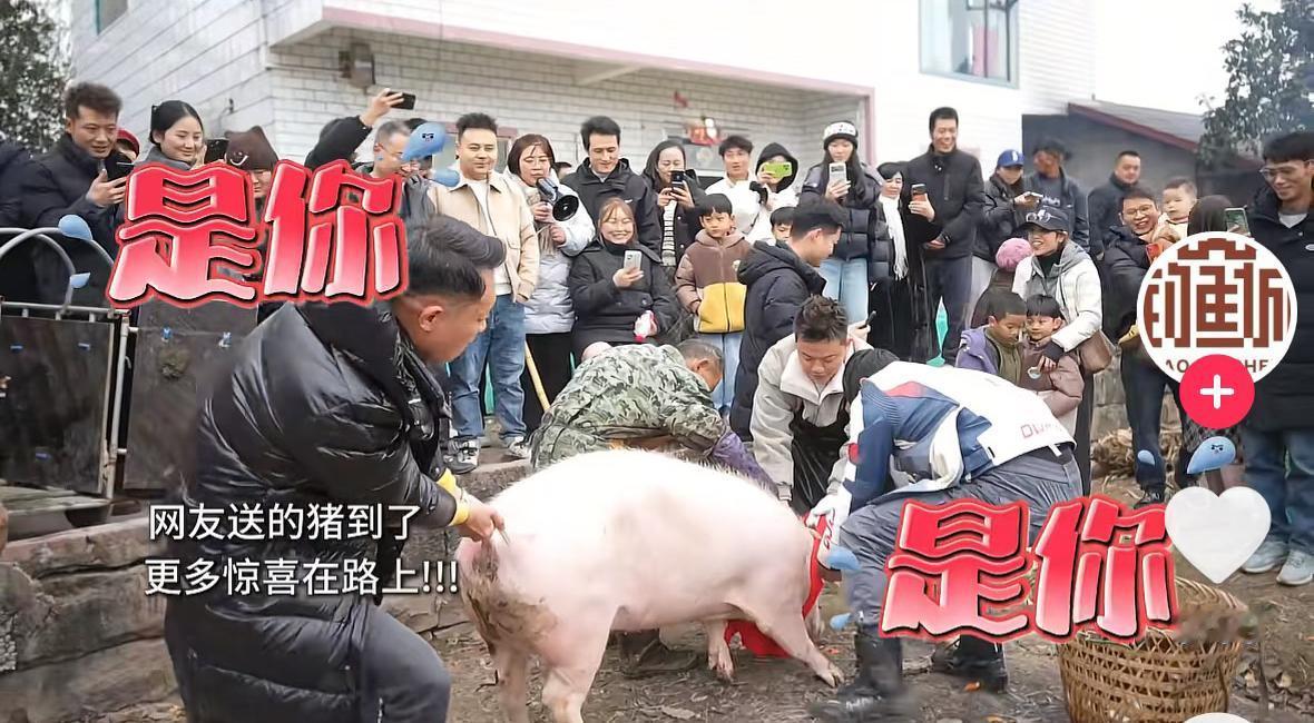 要说这次合川按猪活动最亏的，

估计就是这位穿黑羽绒服的大哥了！

他不是亏了两