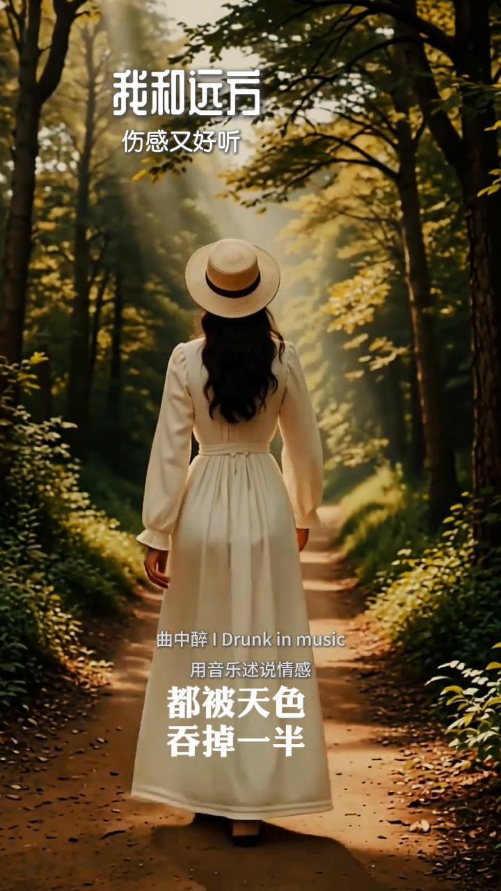 我和远方，伤感又好听。
曲中醉IDrunkin music。
用音乐述说情感。