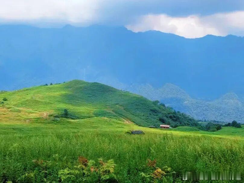 乐山这套联票性价比属实划算，黑竹沟搭配金口大峡谷一共省下三十块，顺路吃顿钵钵鸡刚