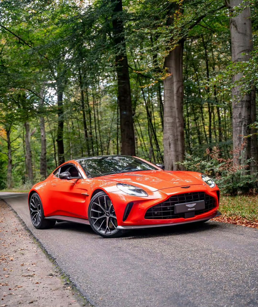 阿斯顿·马丁 V8 Vantage 