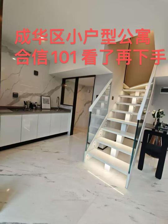 成华的合信101 看完文章再买！