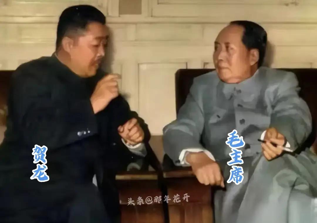🍂1954年，贺龙调任国家副总理，第一次在中南海参会，坐下后他发现邻座的李富春