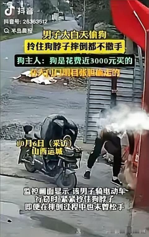 胆大的没边了！”山西运城，一小伙花近3000元买了只小狗，谁料，小狗独自在仓库门