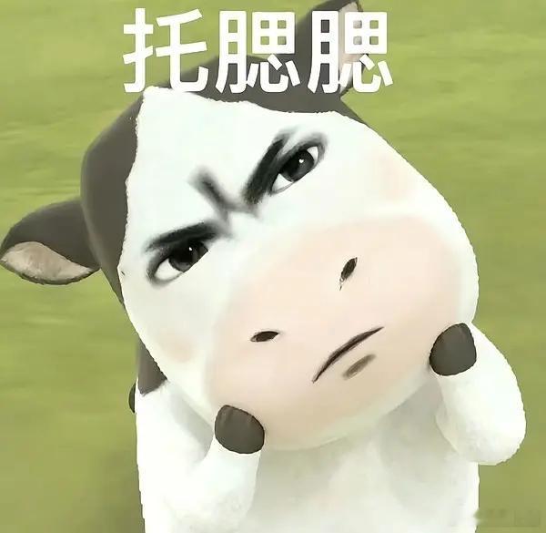 白玉兰又来了个新的？？？不是不会内部通知吗 