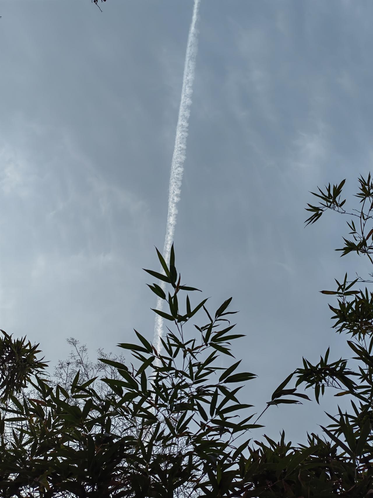 《太平年》说明了一个道理：五代十国时期，什么手段都不好使，只有真本事、硬本事才最