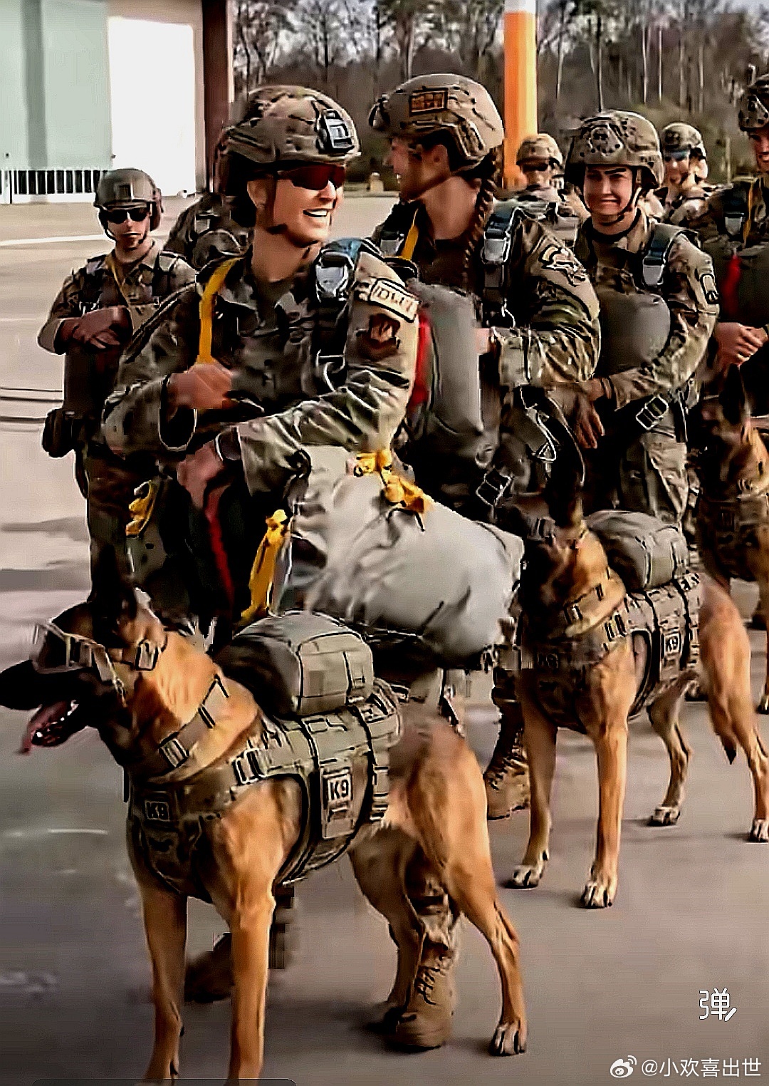 美军女伞兵与伞兵犬 