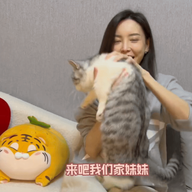 于文文好一个猫宝女于文文是把小猫咪宠成小公主了吧！穿衣服、亲亲抱抱一条龙，温柔得