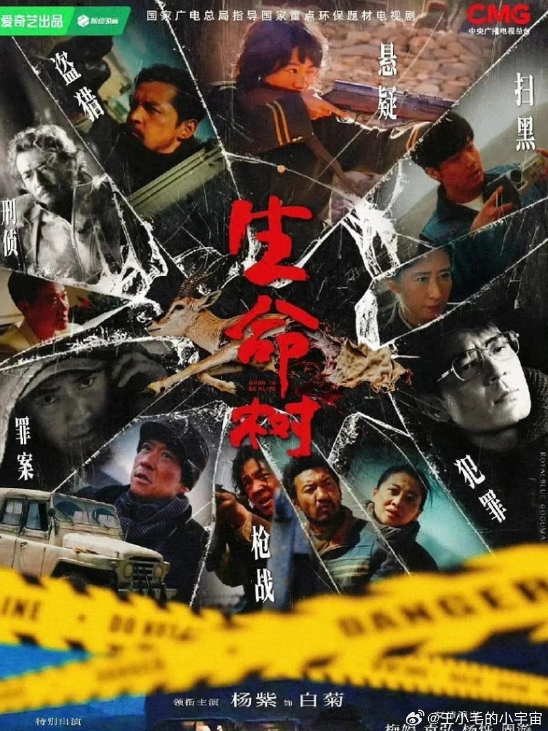 杨洋章若楠《雨霖铃》热播期结束！正午阳光武侠大片《雨霖铃》，热播期集均1250万