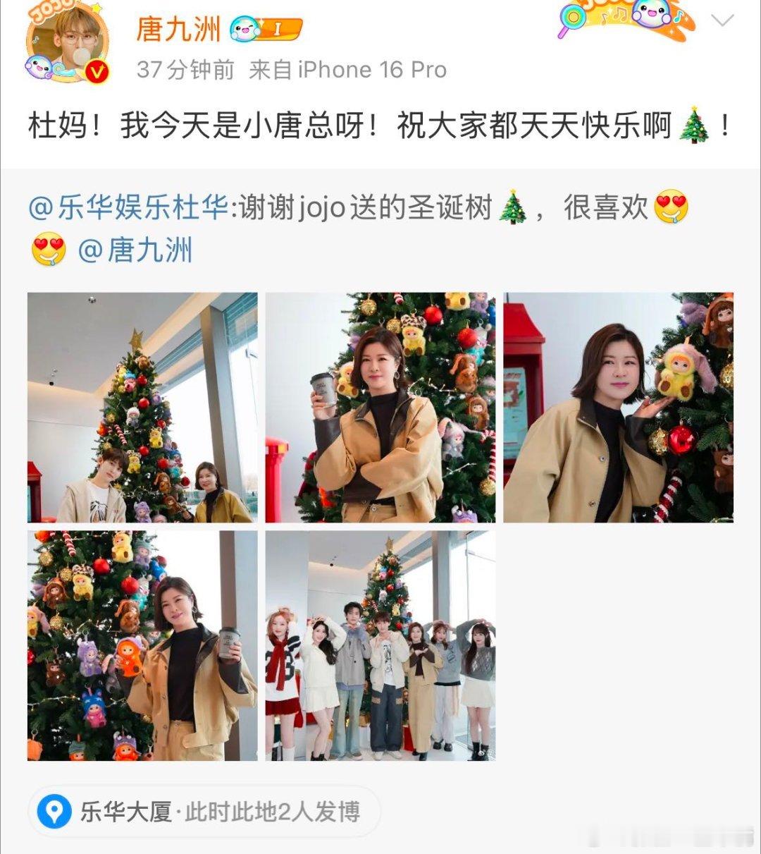 唐九洲送杜华圣诞树    唐九洲送杜华玩偶圣诞树 我嘞个豆~JOJO还是太全面了