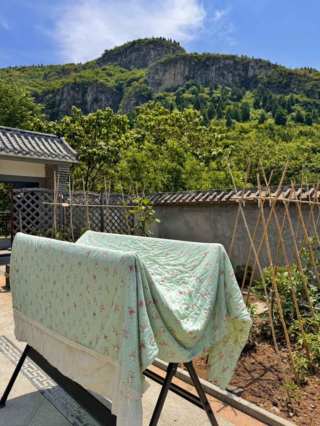 中医世家女：疏肝、养血、健脾、宁心的春天🌷