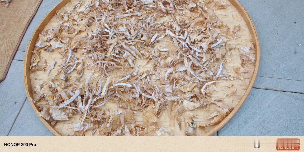 春笋旺发，吃不完就晒笋干以备来日慢慢食用