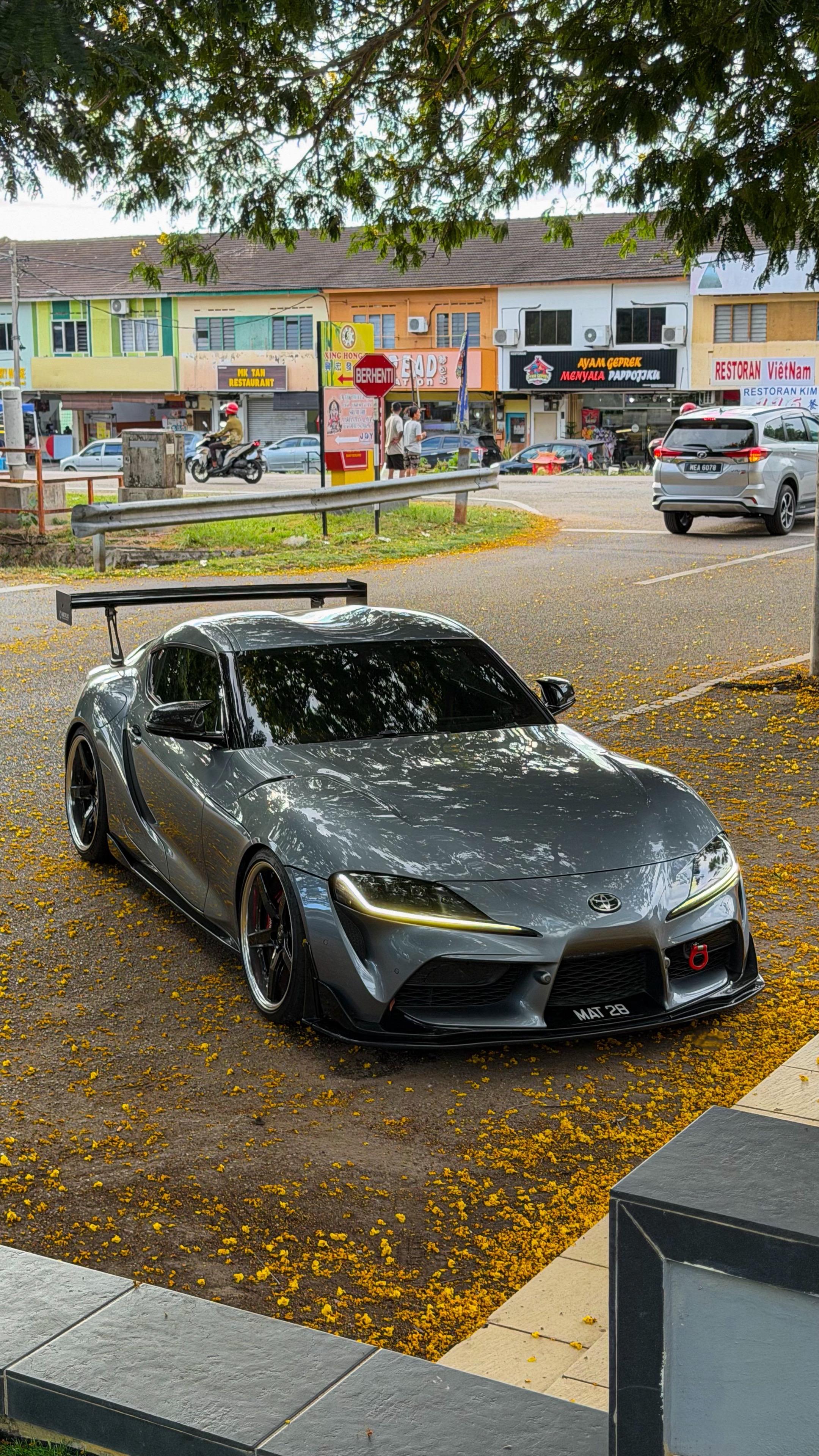 又到了开花的季节