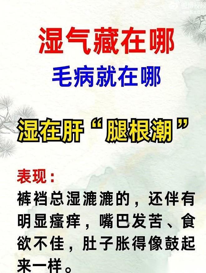 咱们今天聊聊中医里常被念叨的那句顺口溜：“湿气在哪，毛病就出在哪”。很多人天天喊