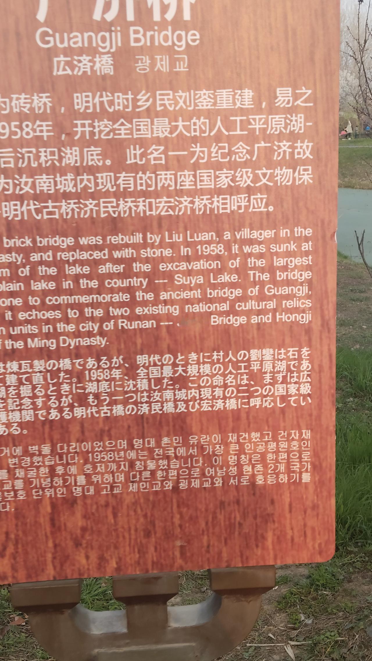公园随手拍一路风景