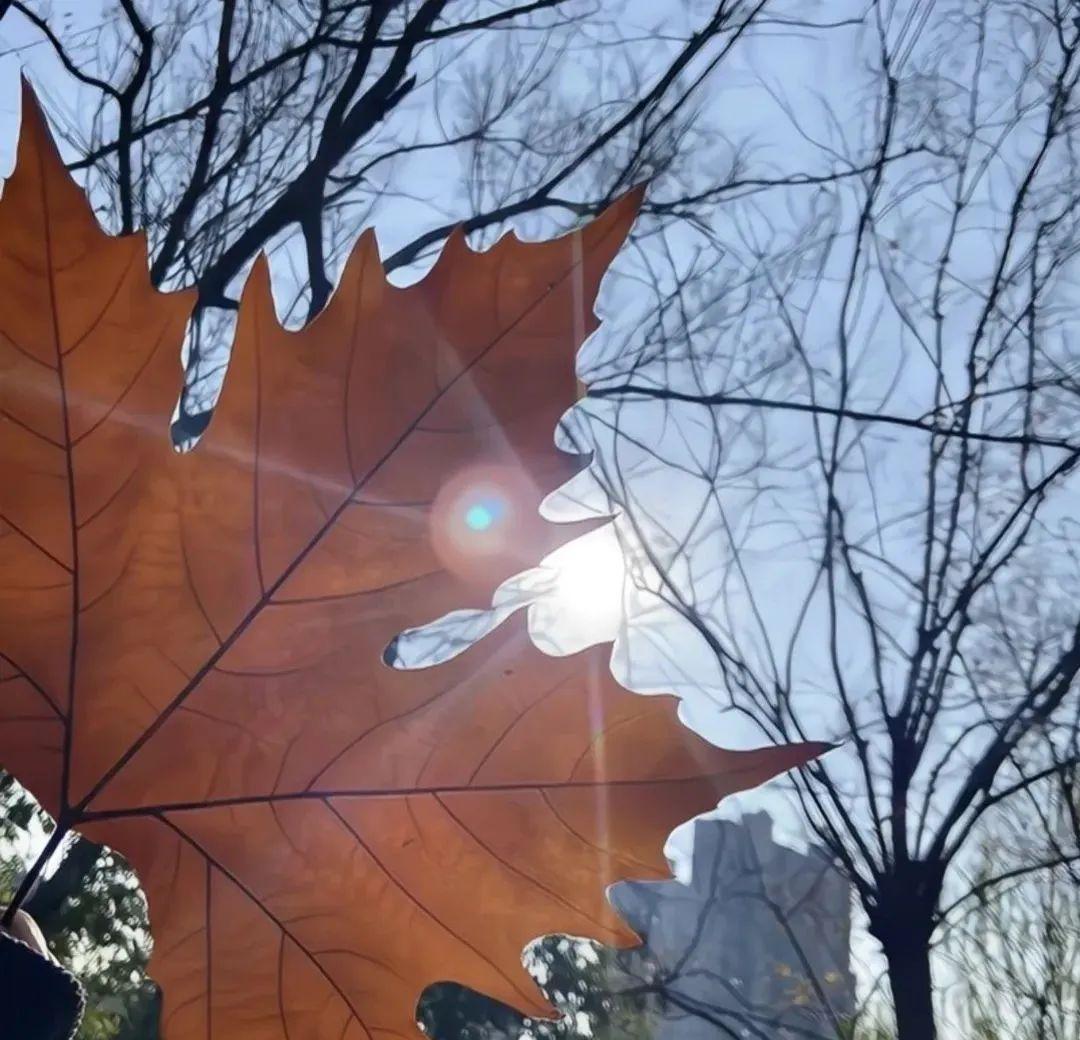 40岁后，脸先投降。
别急着砸钱，先给情绪松绑。
我试过，把微信里常年不点赞的人