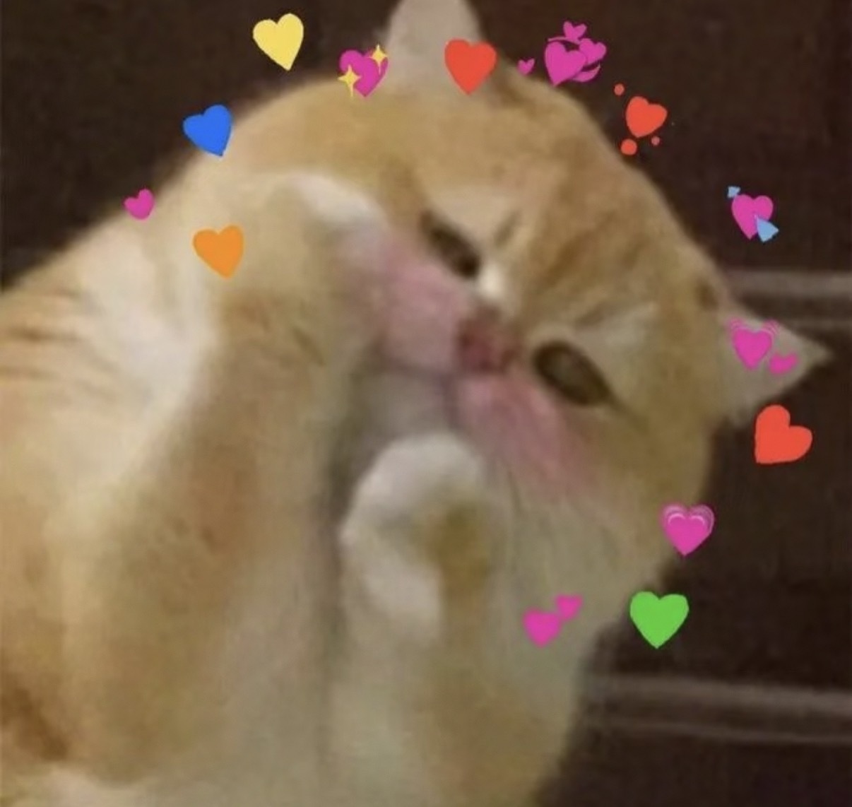 玩加早安 大家今天早饭吃了什么捏？2025lpl2025lck