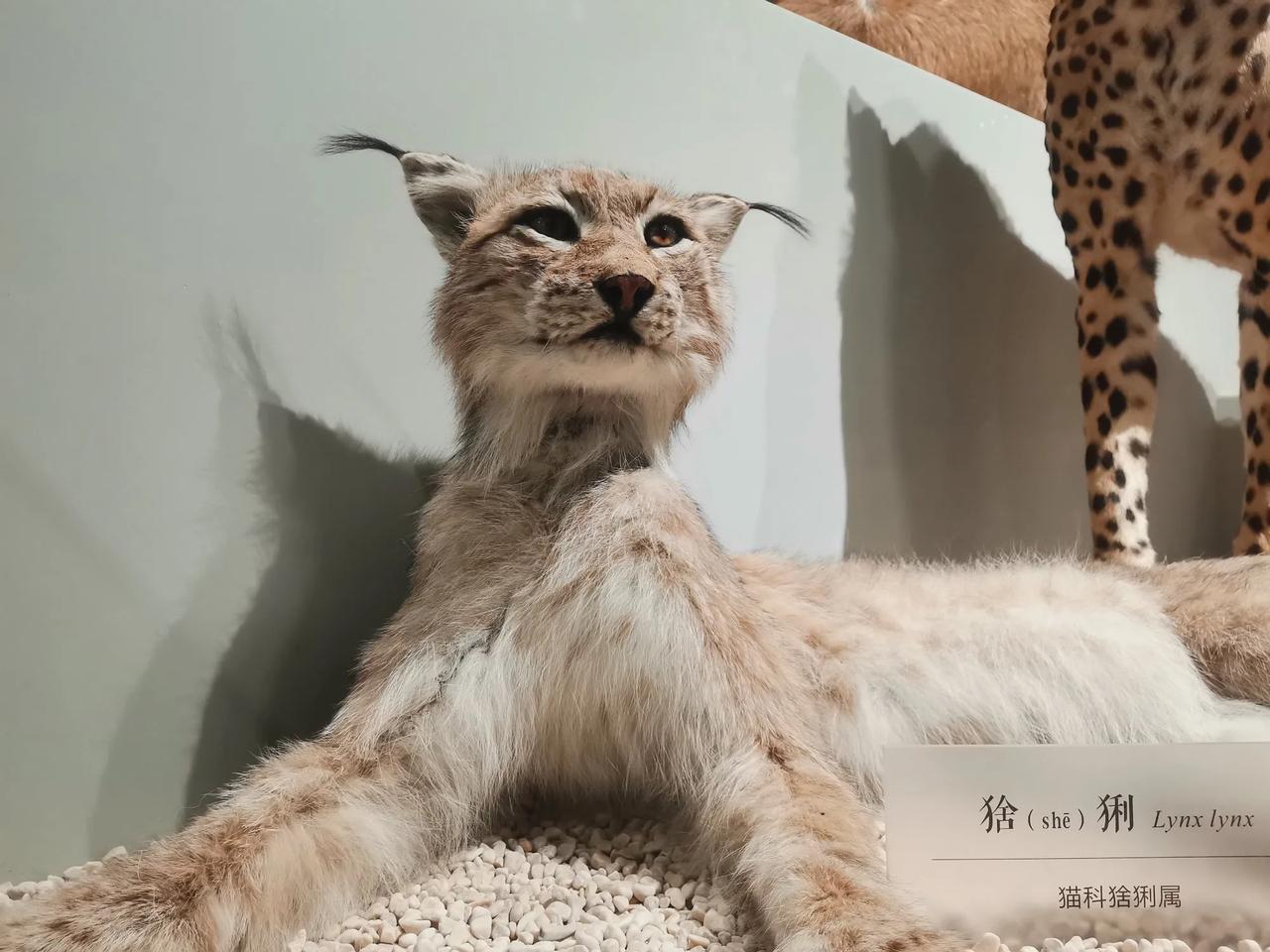 冬日生活打卡季