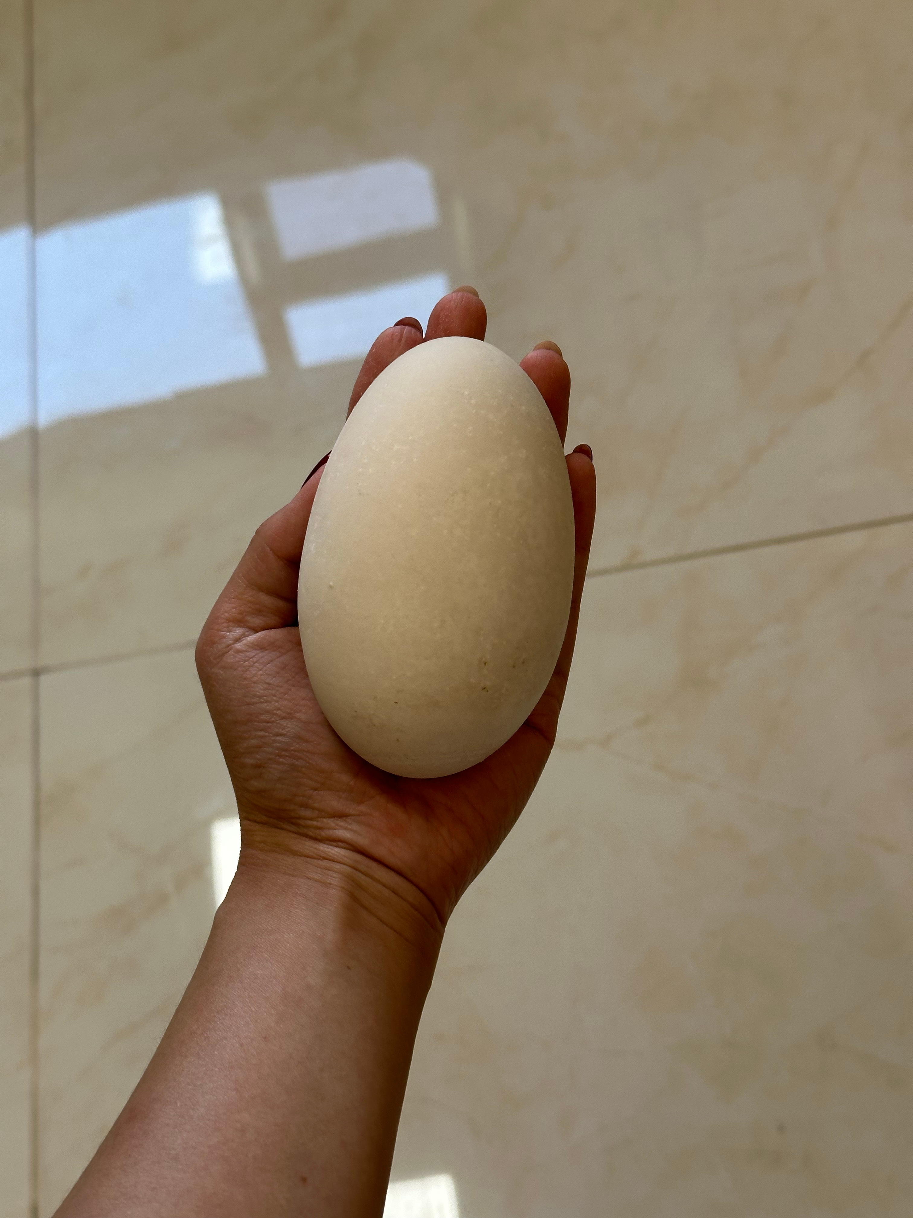 我妈说给我留个了好东西，超大鹅蛋可逗了说朋友总共两个送了她一个，留给我品鉴。 