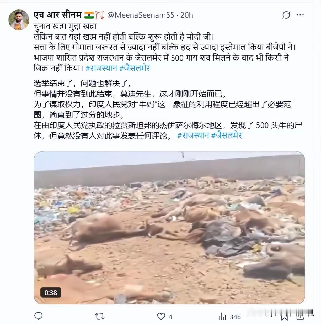 印度有500头牛热死了，可是没有人去评论，人也热死了不少听说，面对极端的酷热，莫