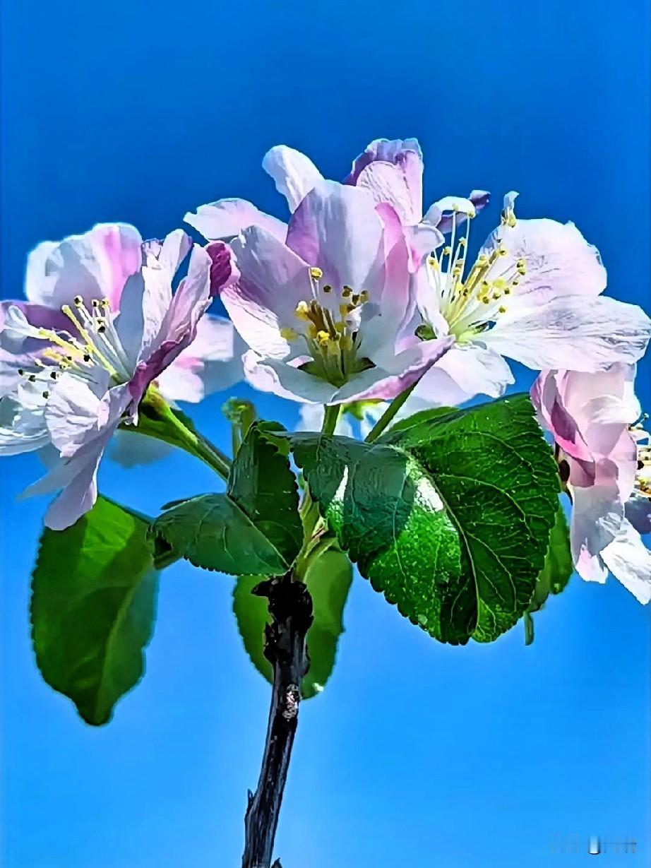 人这一辈子，别让一张嘴毁了你的好运气。
真别不信，你平时说什么话，就会过什么日子